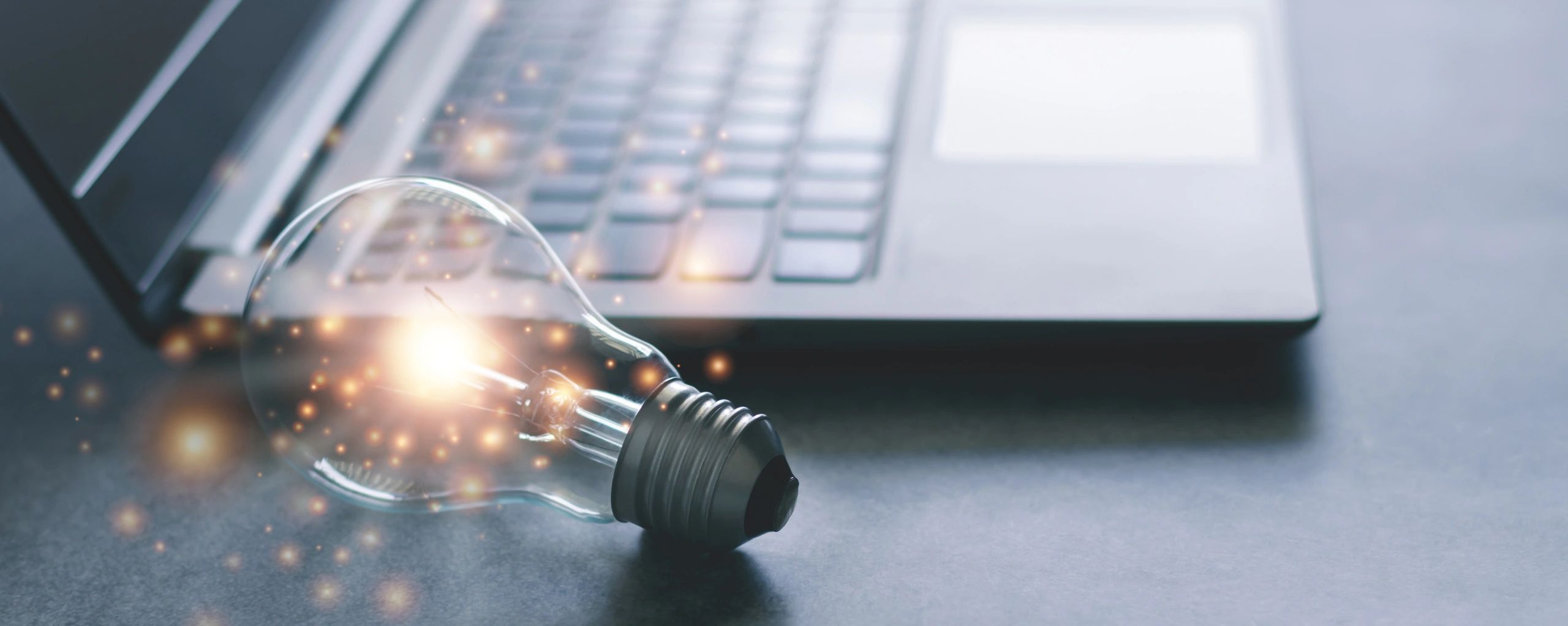A light bulb with some wires coming out of it